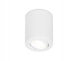 Накладной поворотный точечный светильник TN225 WH белый GU5.3 D80*100 Ambrella light