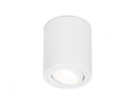 Накладной поворотный точечный светильник TN225 WH белый GU5.3 D80*100 Ambrella light