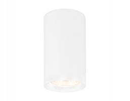 Накладной точечный светильник GU10 TN213133 WH белый GU10 D60*90 Ambrella light