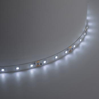 SST01 SAFFIT 60SMD(2835)/m 6Вт/м 12V 5000*8*1.22мм 6500K, IP20
