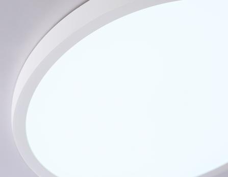 Светильник светодиодный ультратонкий с высокой степенью защиты IP54 FZ1951 WH белый IP54 20W 5000K D270*15 (Без ПДУ) Ambrella light