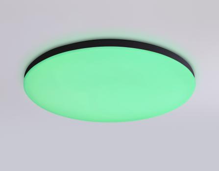 Умный светодиодный светильник Smart 20W с Wi-Fi, Яндекс Алисой, Tuya, Smart Home, Alexa и ИК пультом FZ2004 BK черный IP54 20W 3000K-6500K+RGB Wi-Fi Алиса/Tuya/Smart Home/Alexa D300*55 (ПДУ ИК) Ambrella light