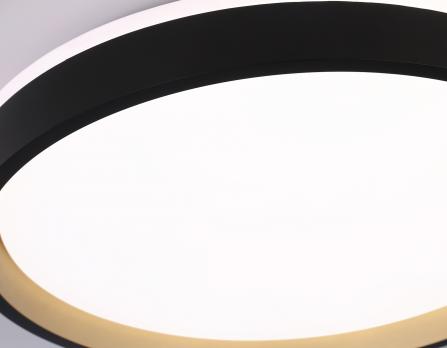 Светодиодный светильник RGB с пультом управления FZ610 BK/GD черный/золото IP20 66W 3000K-6500K+RGB D490*85 (ПДУ ИК) Ambrella light