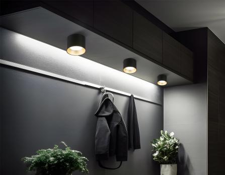 Светильник накладной TN52887 SBK/SGD черный песок/золото песок GX53 max 12W D97*70 Ambrella light