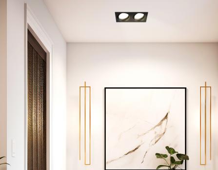 Светильник встраиваемый поворотный TN6661/2 BK черный IP44 GX53/2 220*110*48 Ambrella light