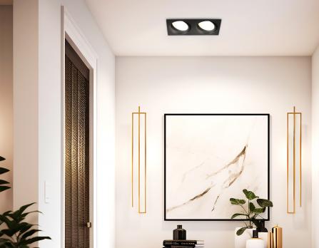 Светильник встраиваемый поворотный TN52235/2 BK черный IP20 GX53/2 220*110*44 Ambrella light