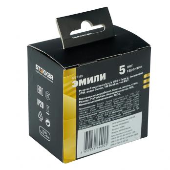 Розетка 1-местная з/ш с/з 16А + USB + Type C (механизм), STEKKER, 250В, 20W, серия Эмили, RST16-5119-09, антрацит, soft touch