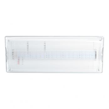 Светильник аварийный, 20 LED AC/DC, белый, EM100